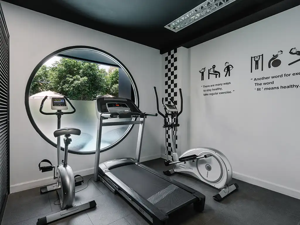 Monkey gym